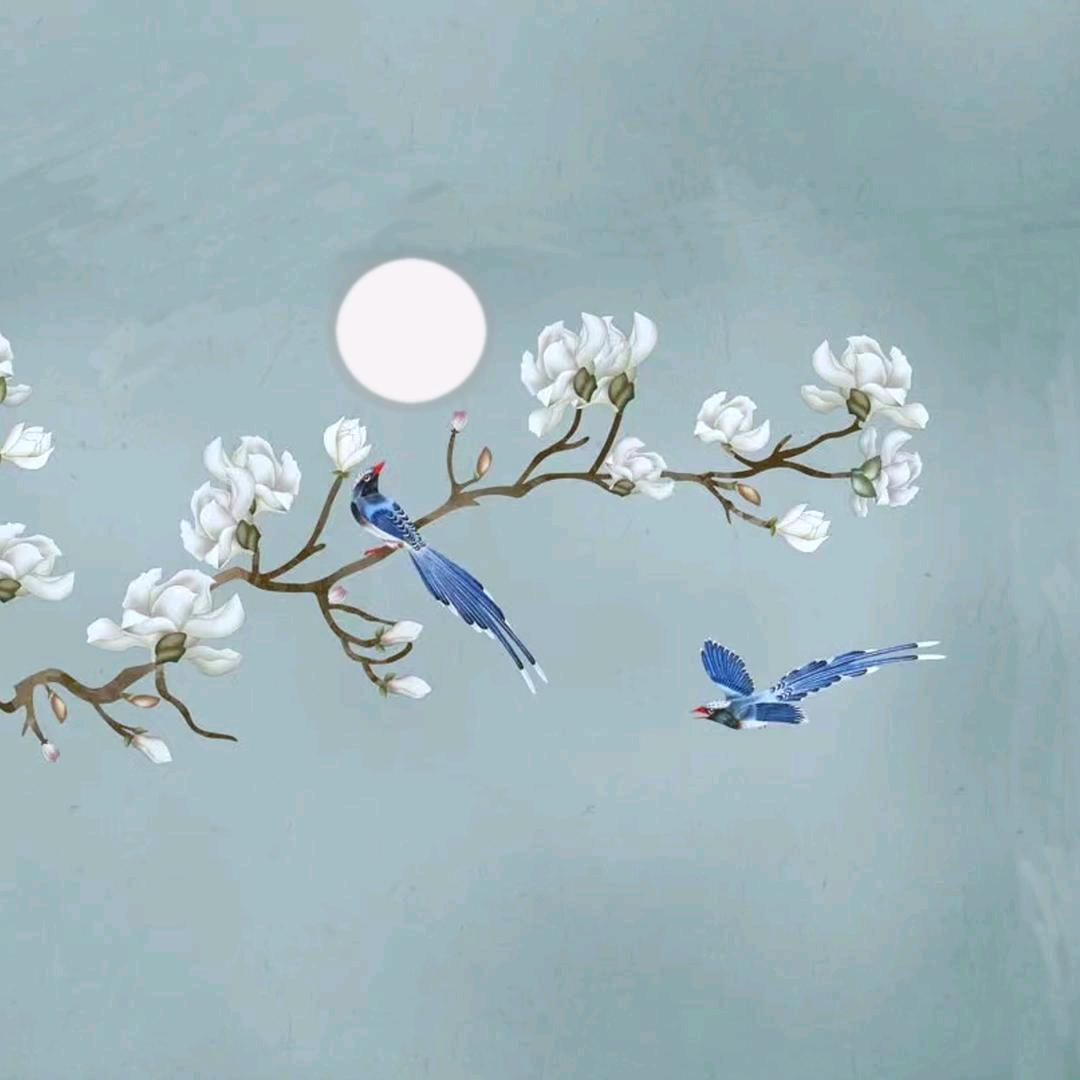 💓清风入心💘🕊️