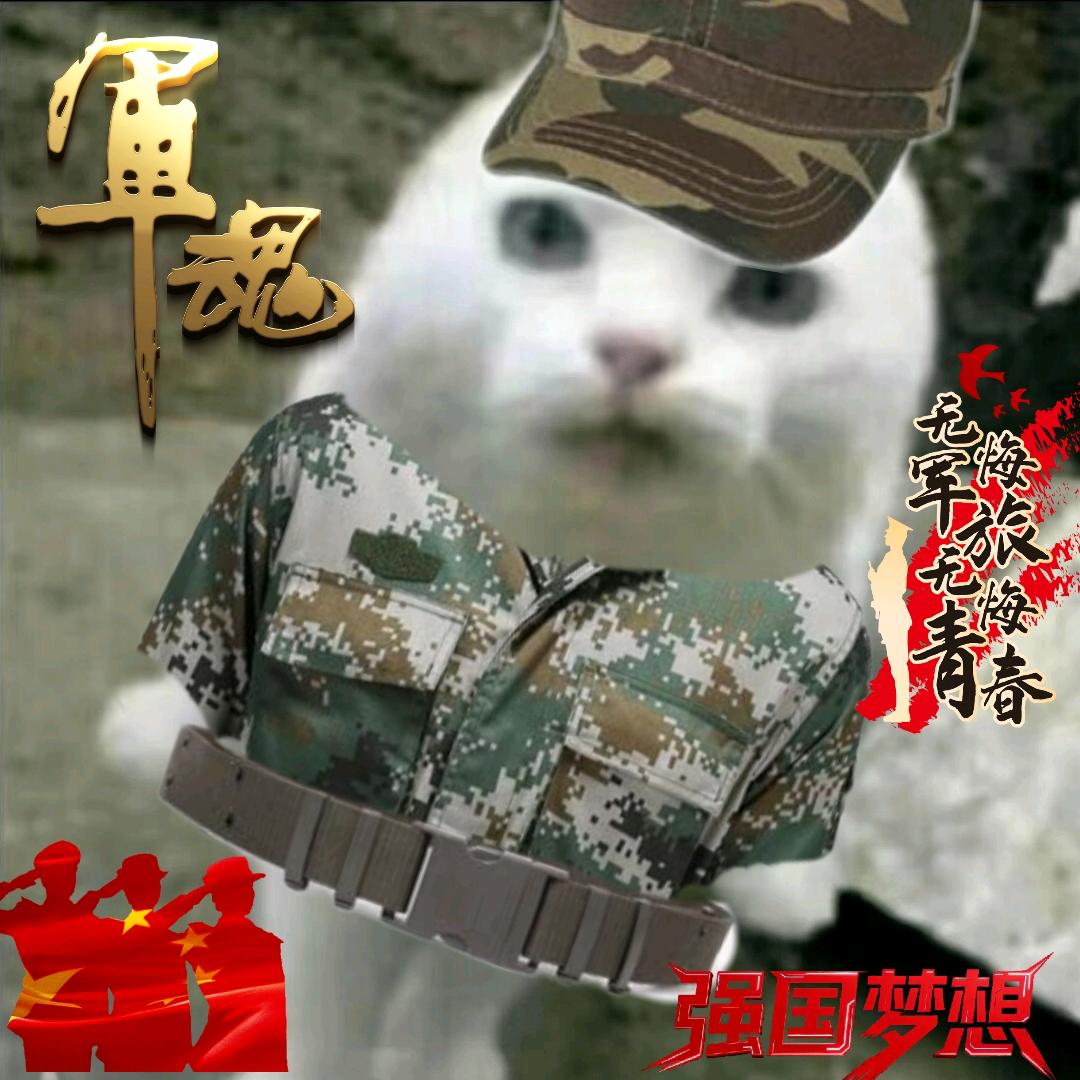 恶毒女人小美（大一新生版）