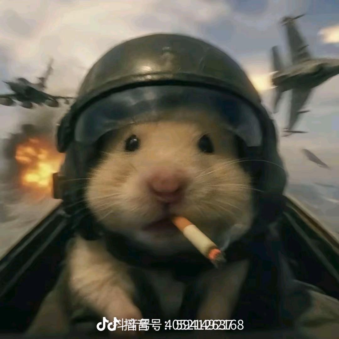 沐浪🌊