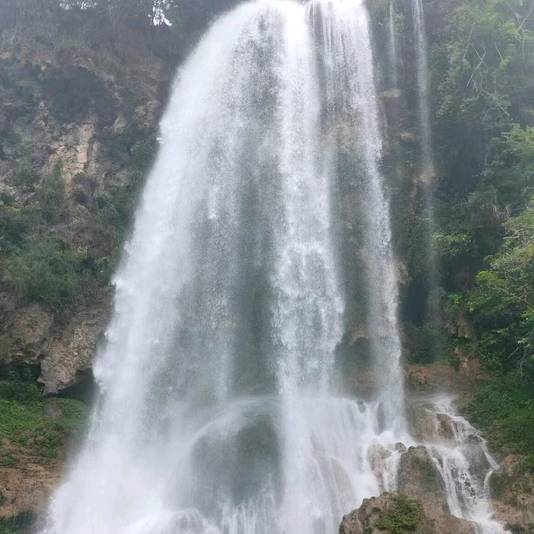龙村人