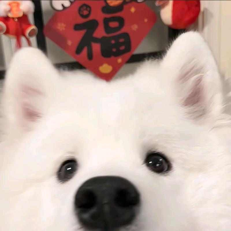伯仲叔季