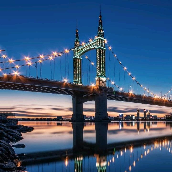 孤独。，从此不谈爱情。