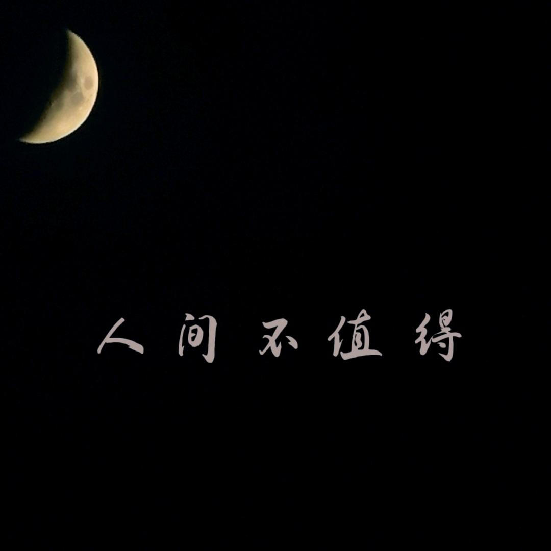 无我栖