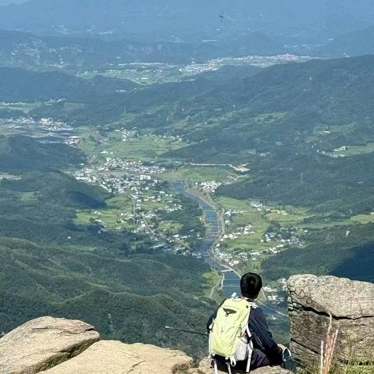 伶俐虫有点疯