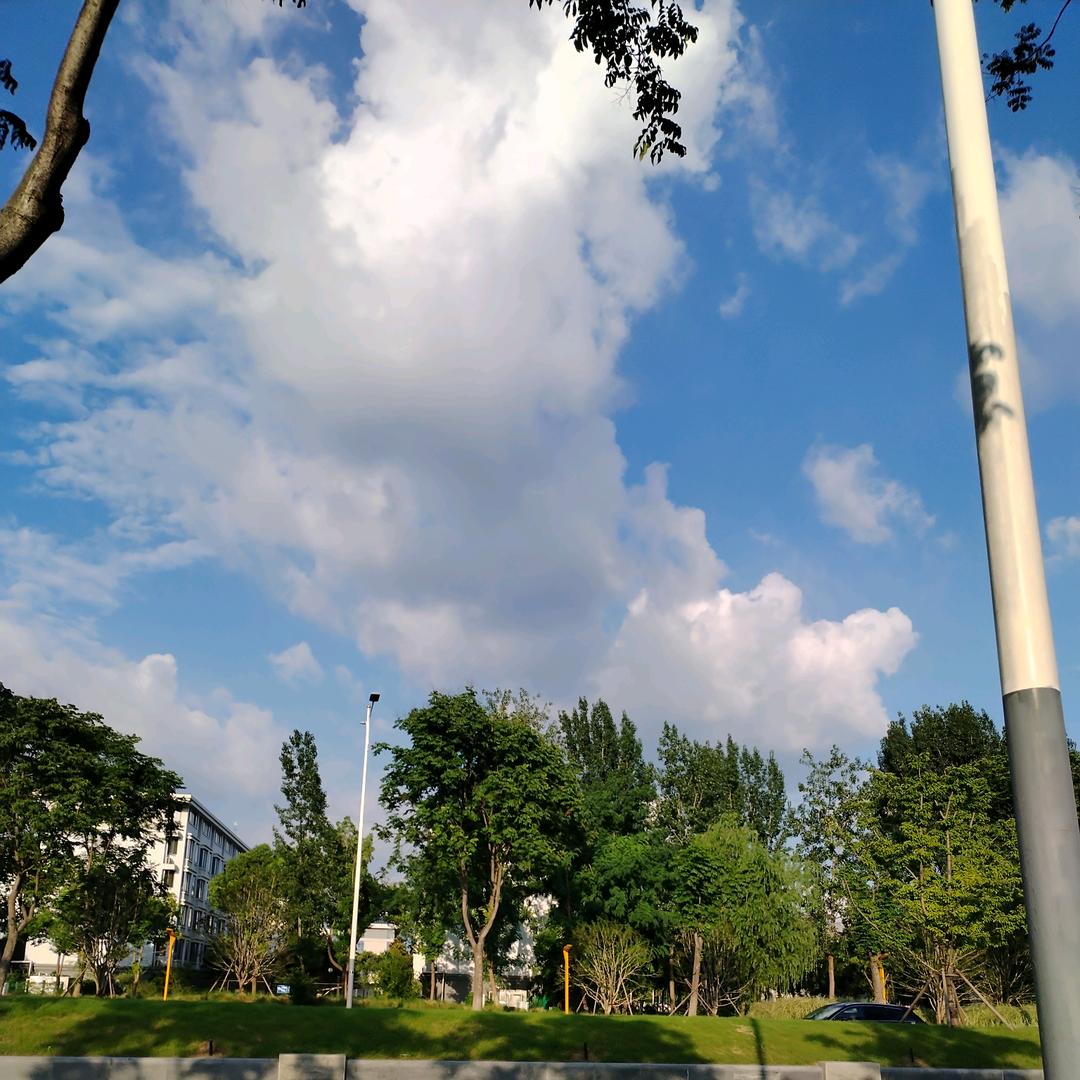 小袁小圆(｡•﹃•｡)