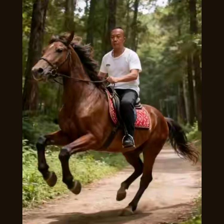 江湖人称小明，本人是做买，卖黄牛，猪生意