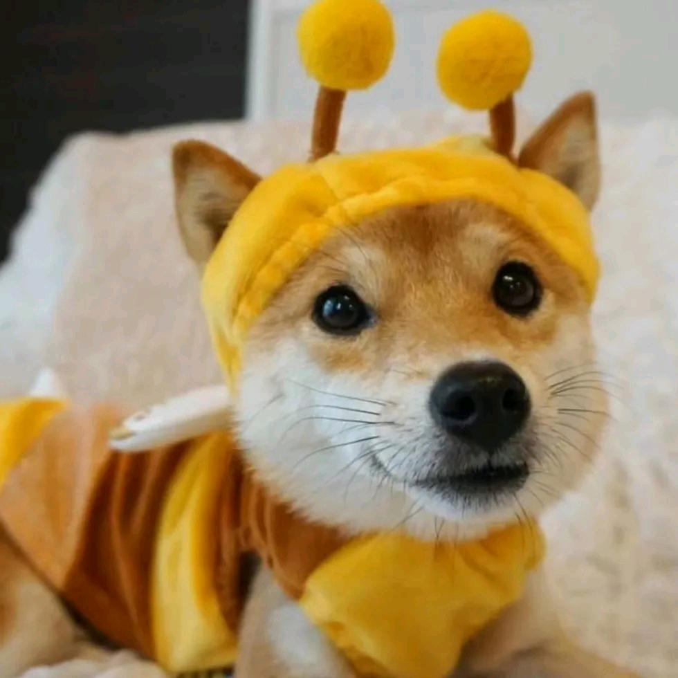 没有意义