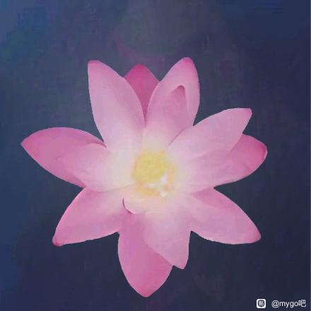 乌尔塔尔