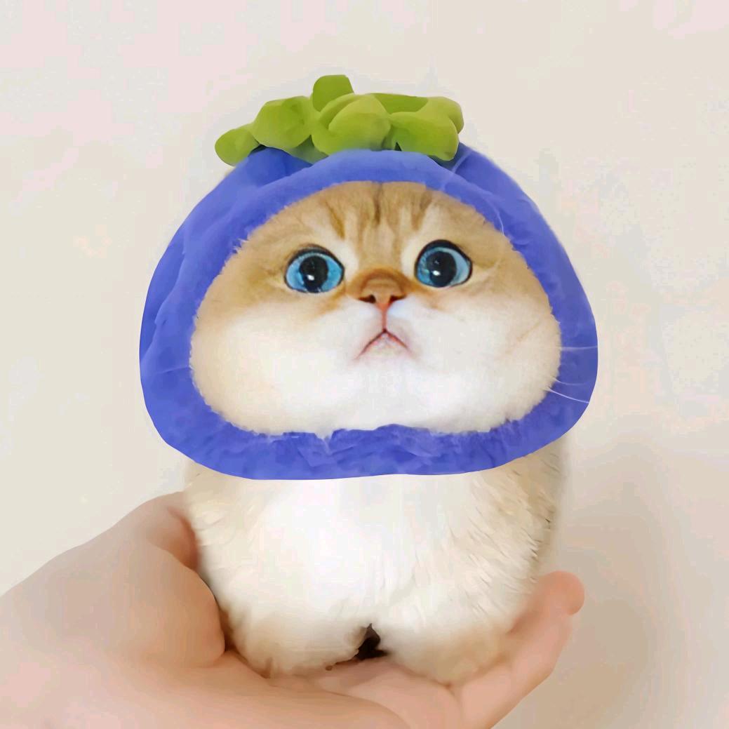 旺仔小拳头@抖音