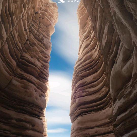 万马奔腾在草原