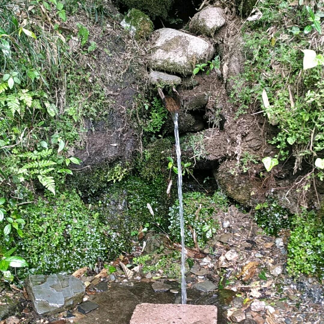 嘉瑞
