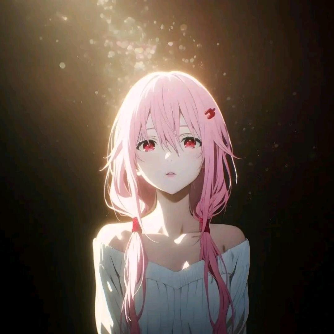 猫星