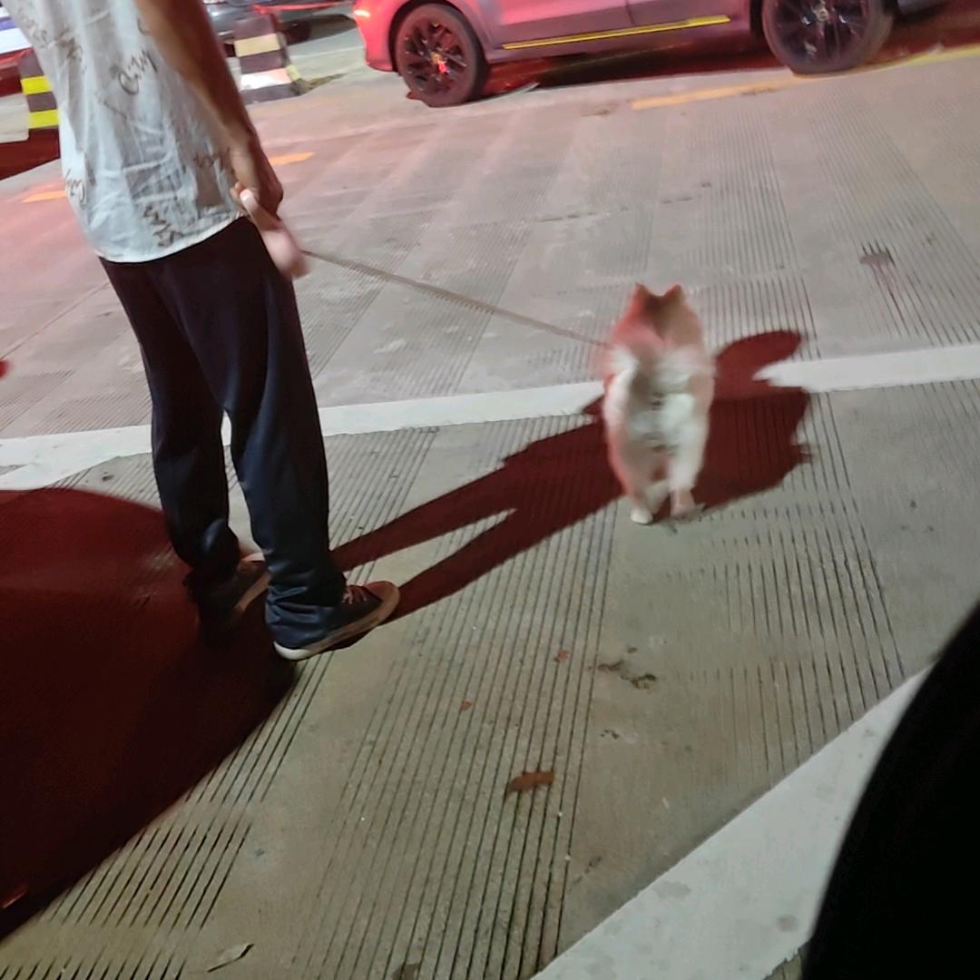 王者玩家