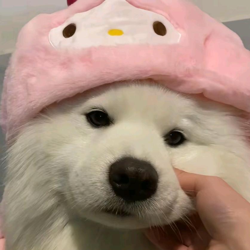 何+叶 = 何叶   简单 快乐