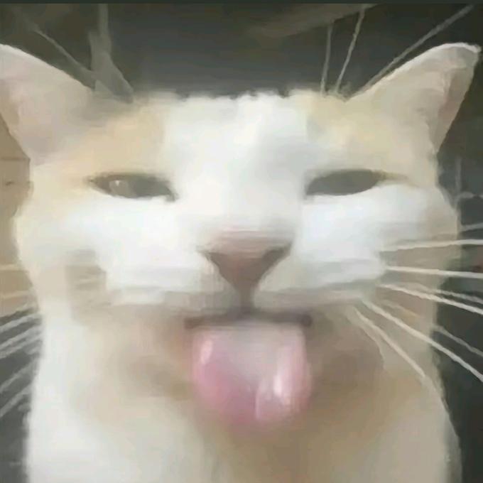 敵