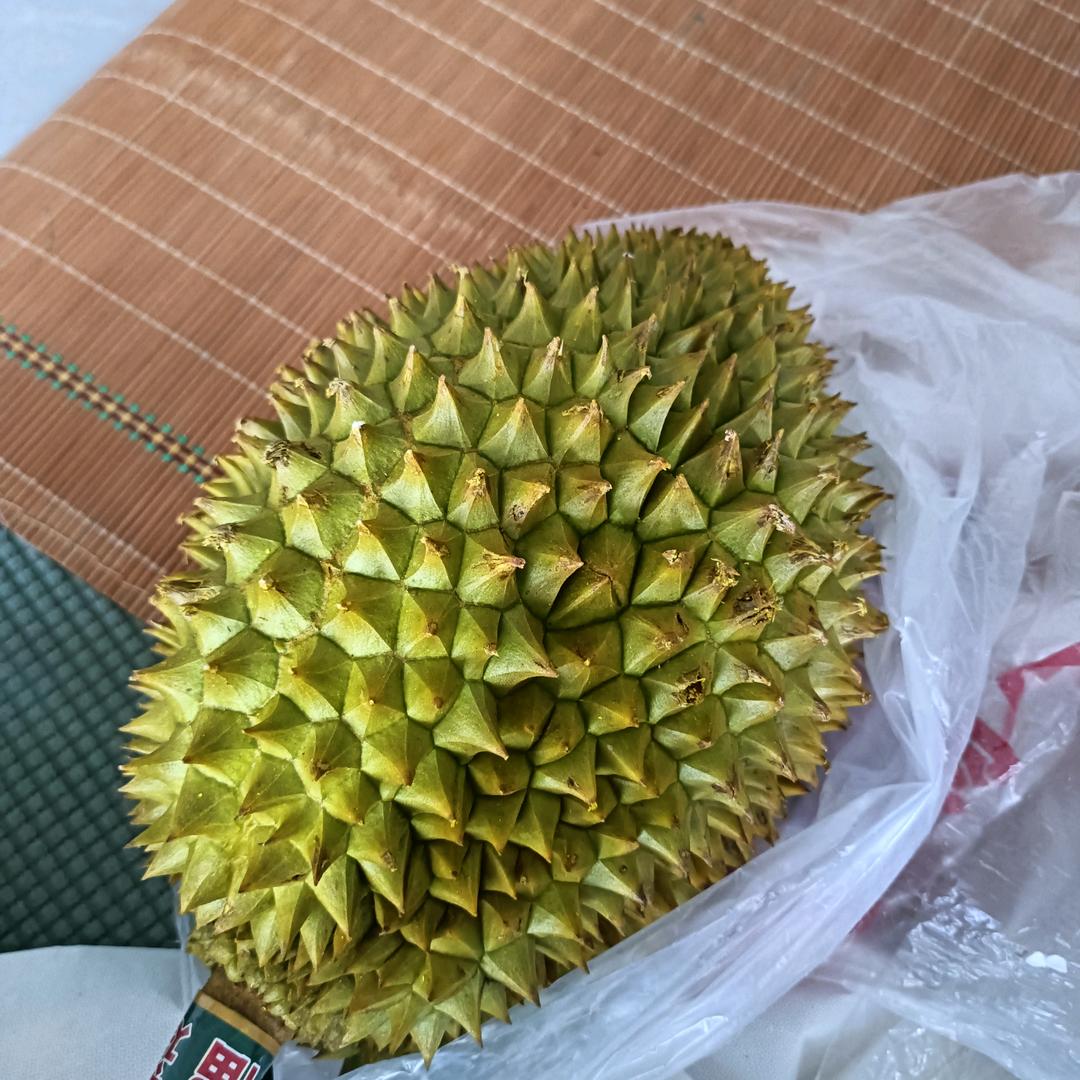 假如生活欺骗了你