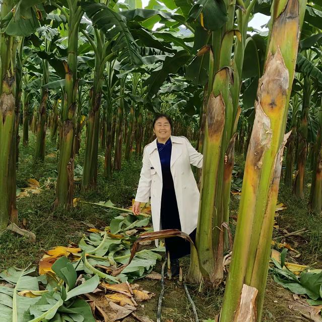 文山卖瓷砖的闻孃