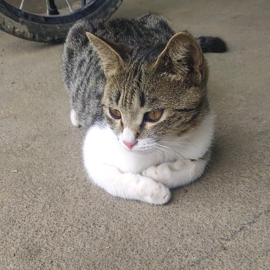 ꧁꧔财᭄ᩚ꯭ᩚ💞᪲满᭄ᩚ꯭ᩚ兜꧂