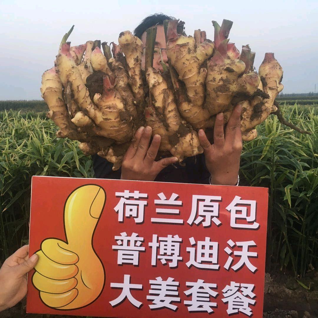 根旺农资李腾飞