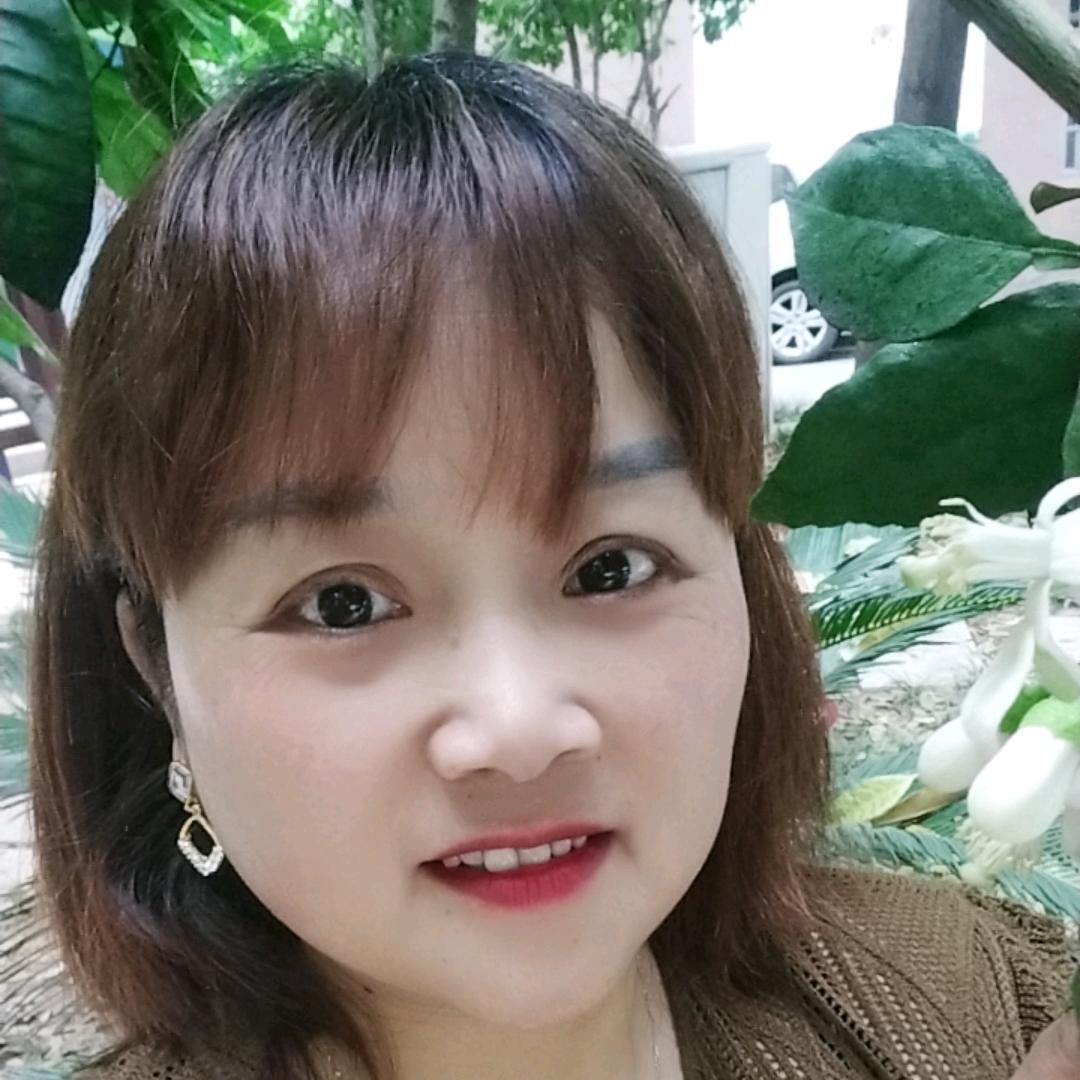 清风入梦.