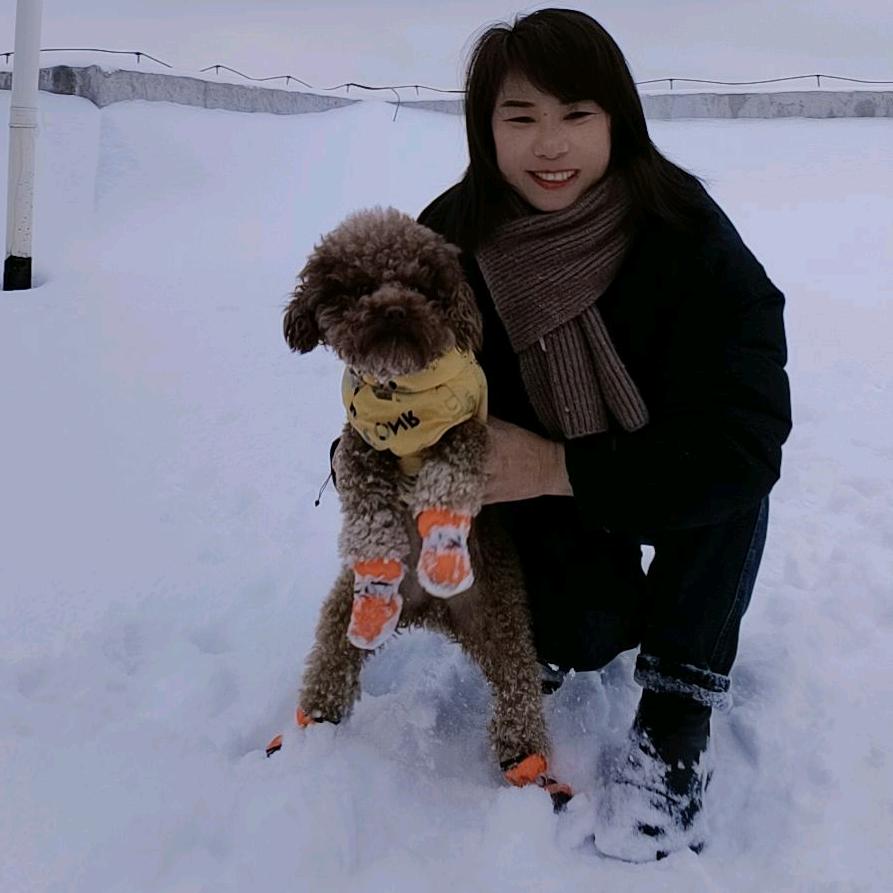 风中的百合花