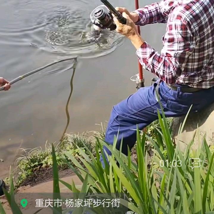 一生陪你
