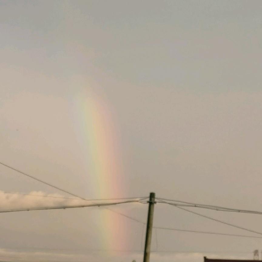 雨后一道彩虹🌈