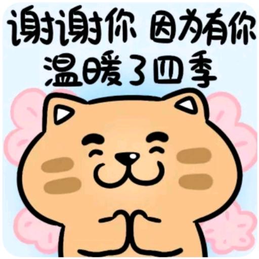 思沫儿