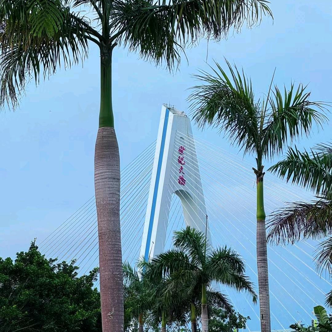文疏东路