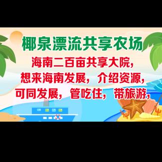 海南临高椰泉漂流共享农场