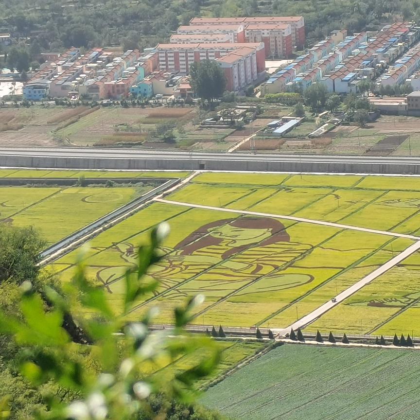 好运加满