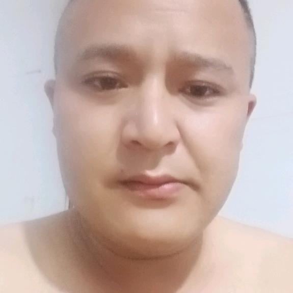 会飞的鱼