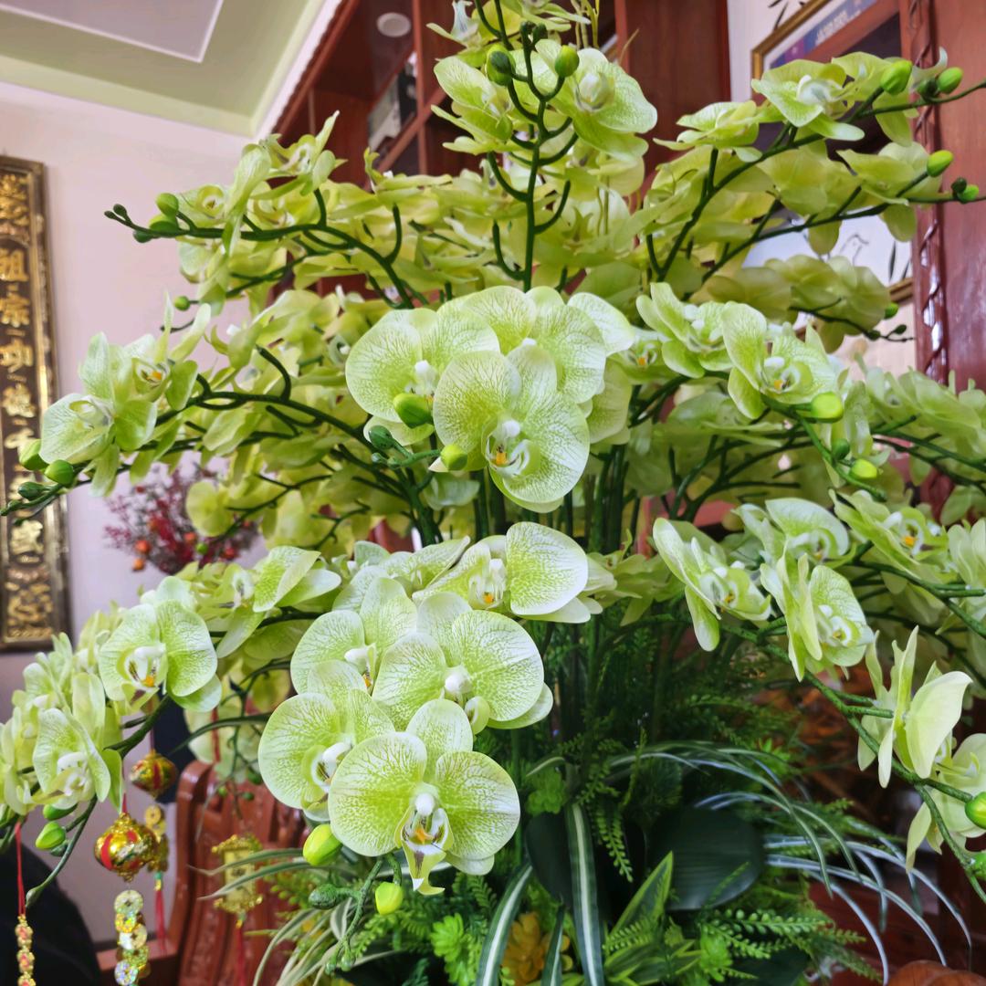 小平8686.....孤独的我