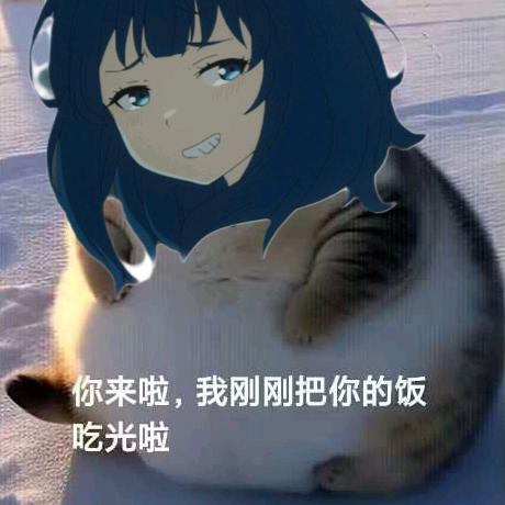 栗悟饭与龟波功