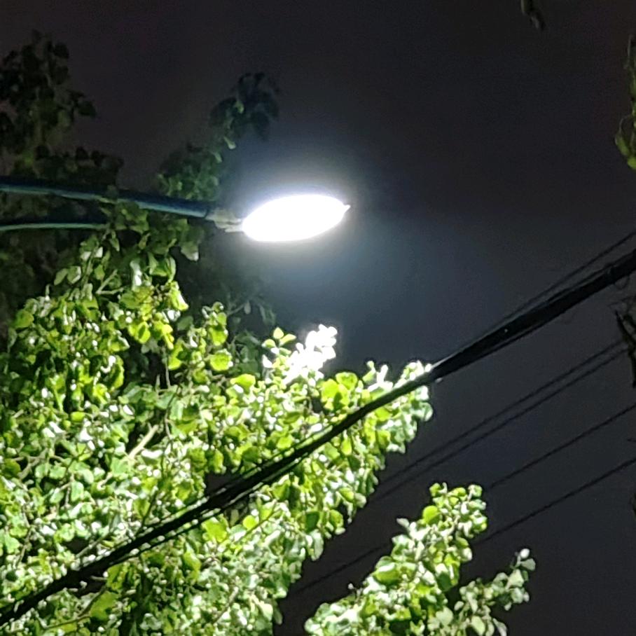 吕教不改