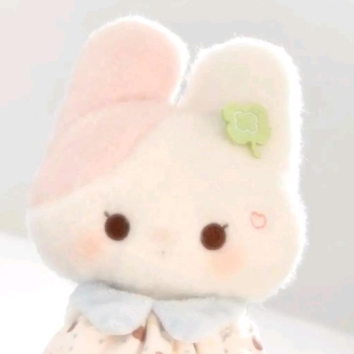 姜栀