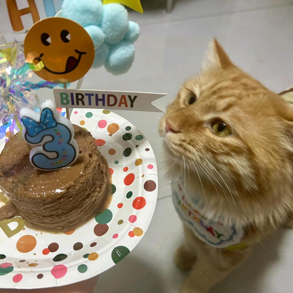 踏踏实实度今生