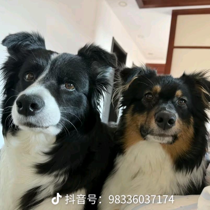 不想上早八
