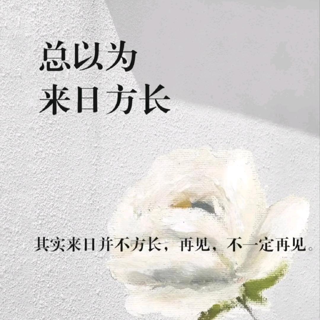 不过是大梦一场 空