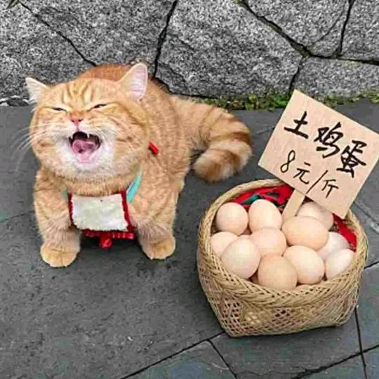 肆虐