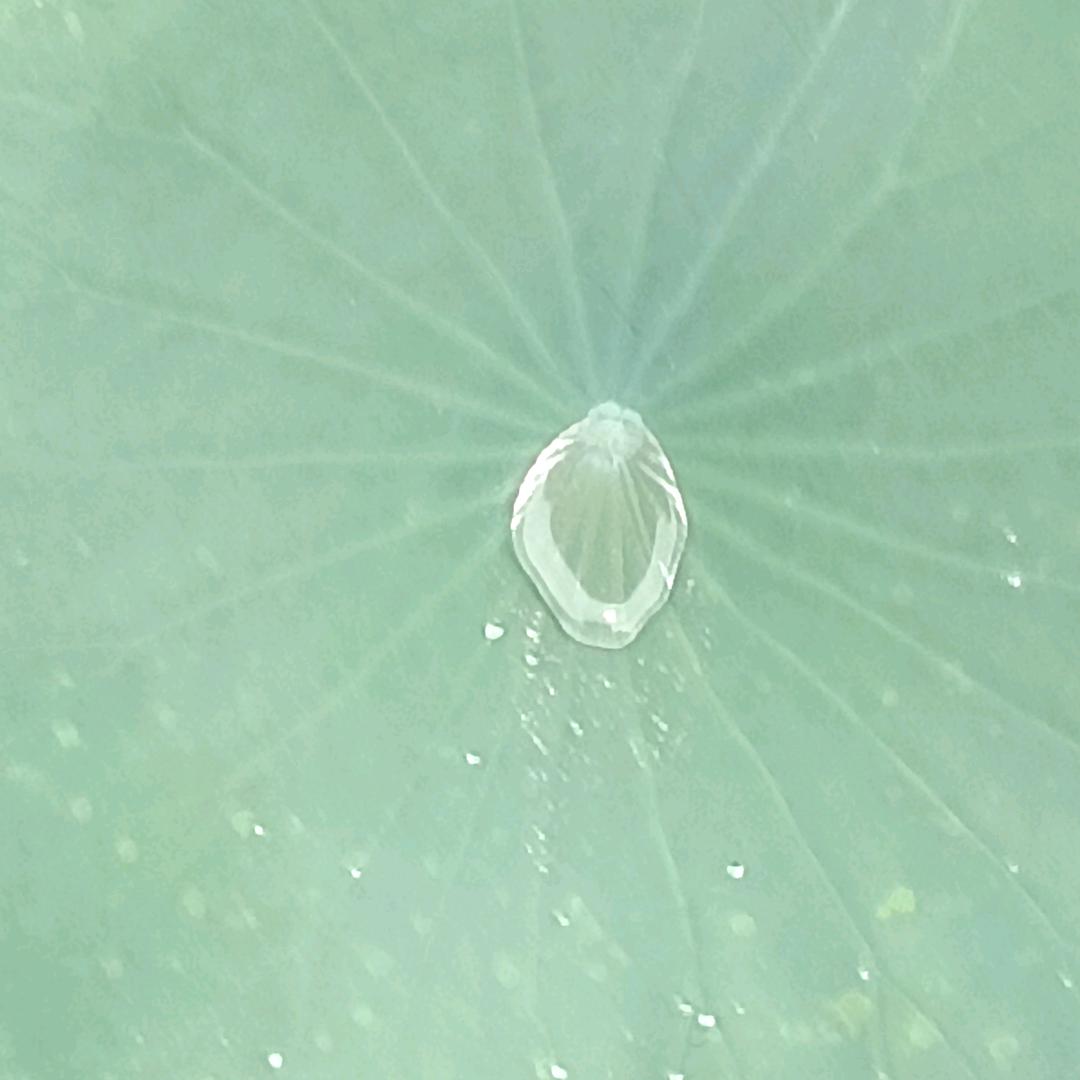 一🎋切🌾随💐缘🔥