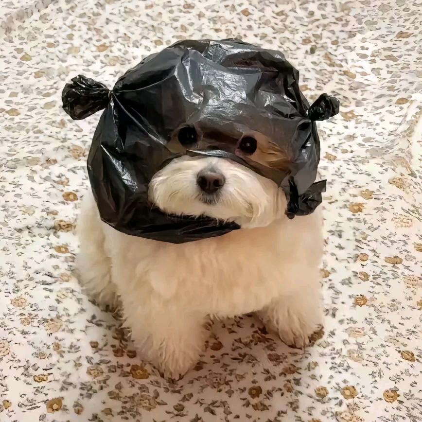 vee