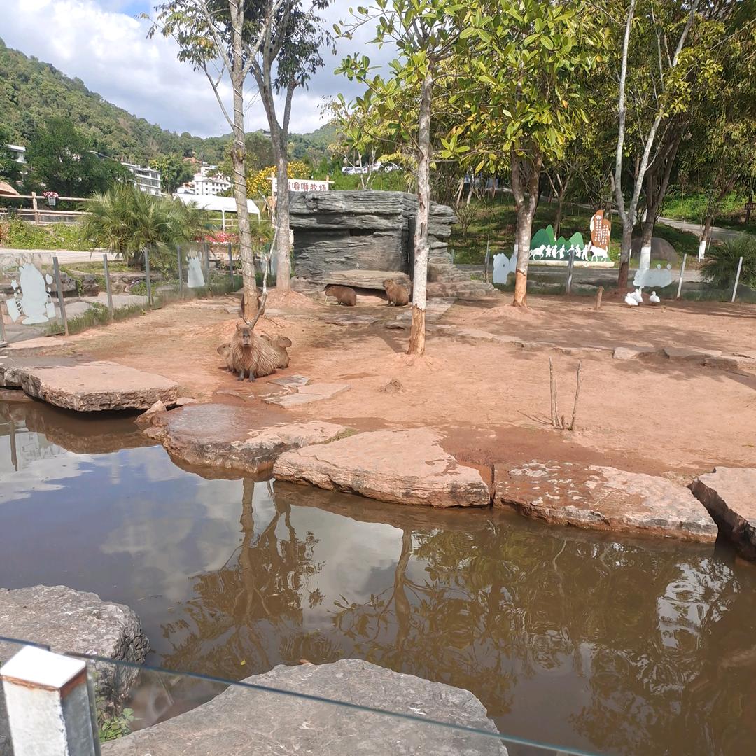 ღ᭄删除过往💞