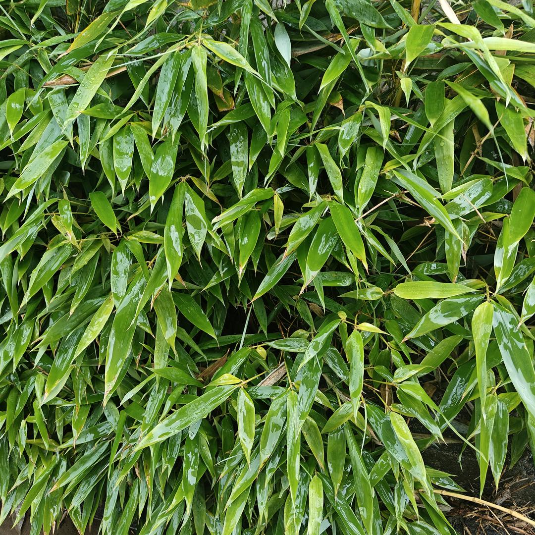 山东百利达重工机械有限公司