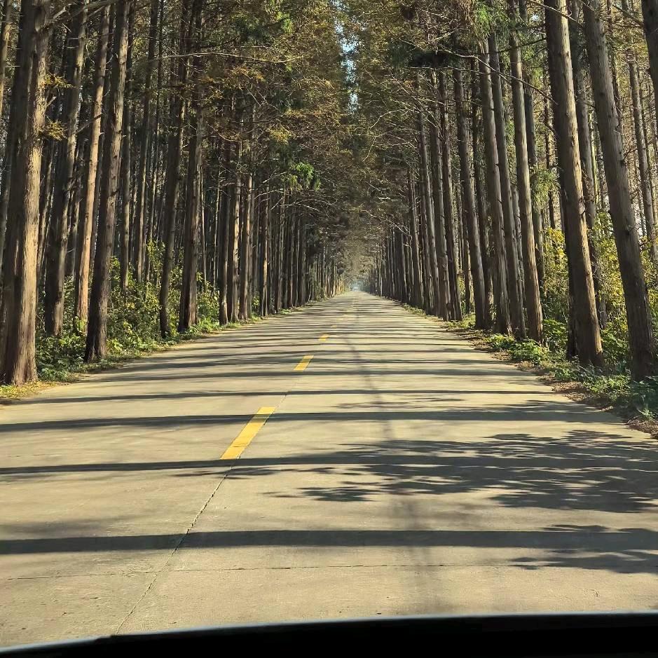 天空飘来五个字