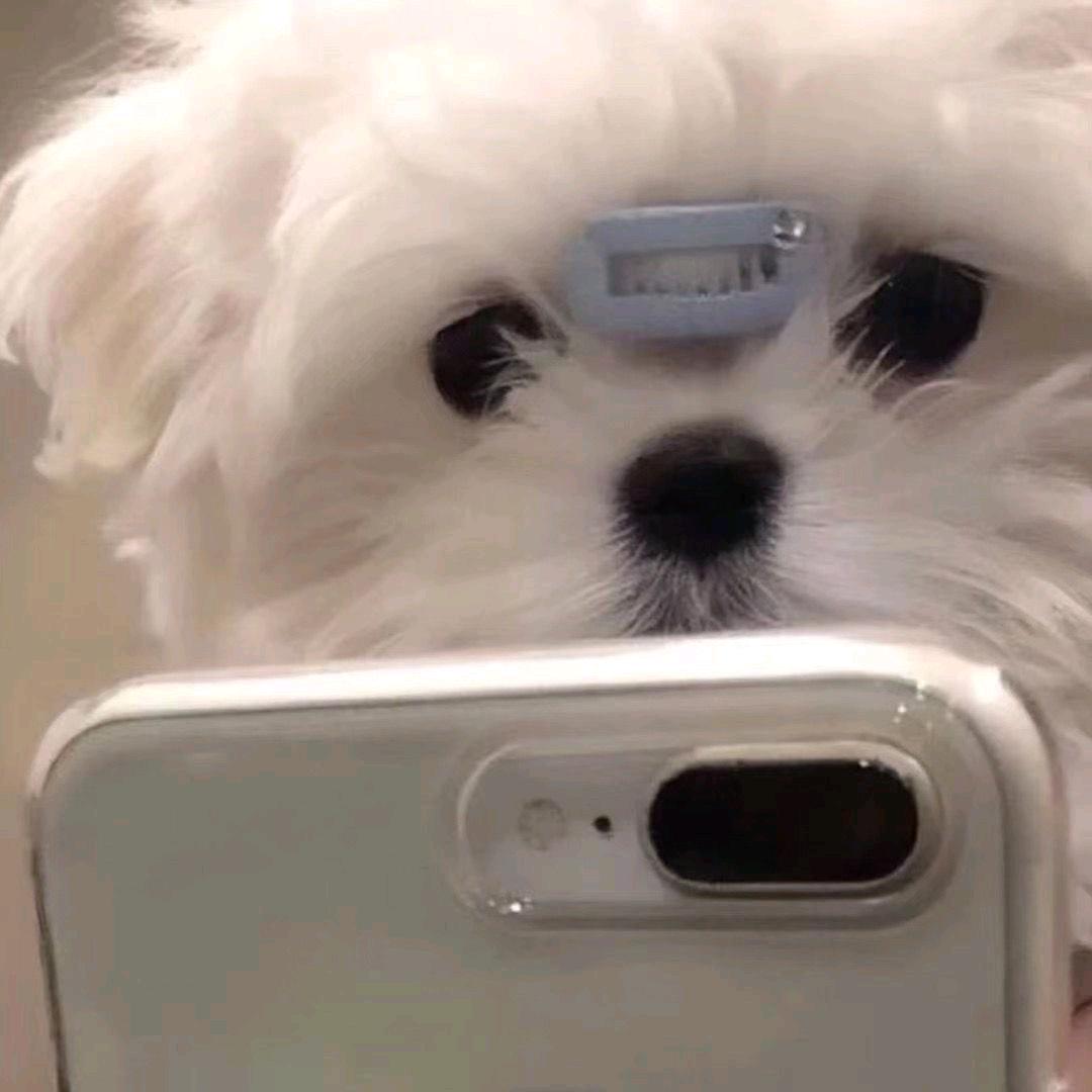 逃