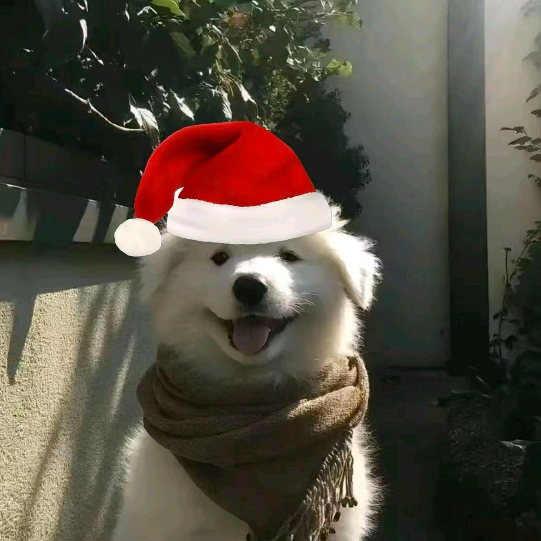 火鸡面女神
