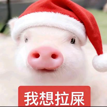 等风吹