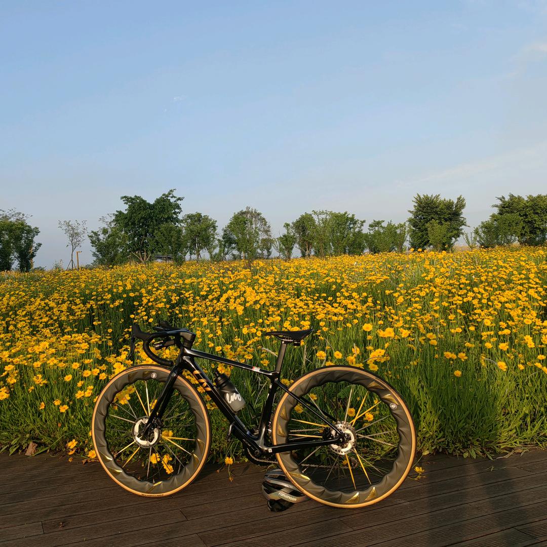 🌈寳先森🚲