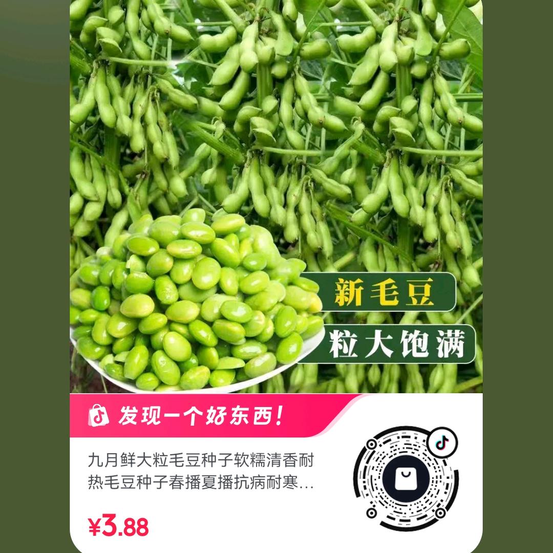 温丽